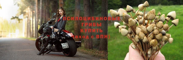 МДПВ Пестово