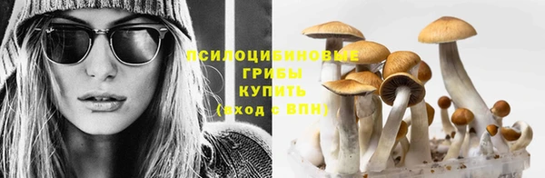амф Осинники