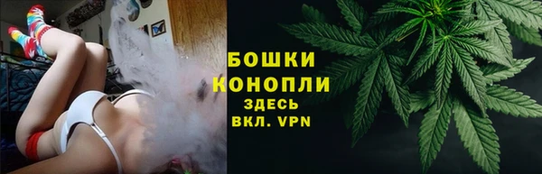 МДПВ Пестово