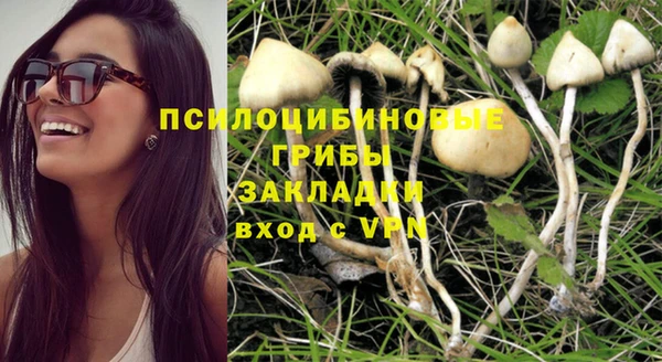 амф Осинники