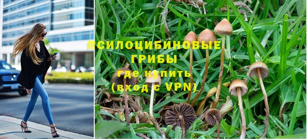 амф Осинники